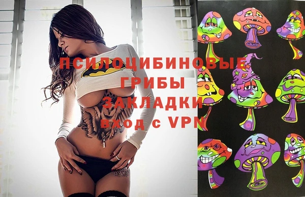 винт Баксан