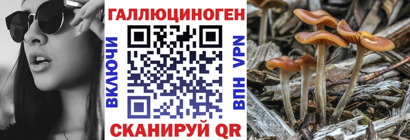 Псилоцибиновые грибы GOLDEN TEACHER Уяр
